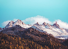 梦剧场重建序章？卡里克力荐新援，曼联夏窗引援风云再起